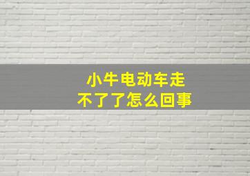 小牛电动车走不了了怎么回事