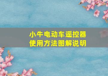 小牛电动车遥控器使用方法图解说明