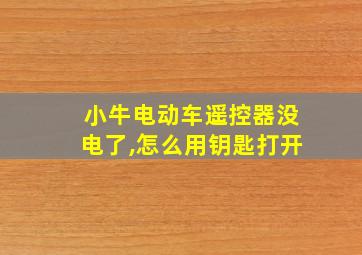 小牛电动车遥控器没电了,怎么用钥匙打开