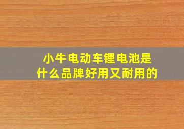 小牛电动车锂电池是什么品牌好用又耐用的