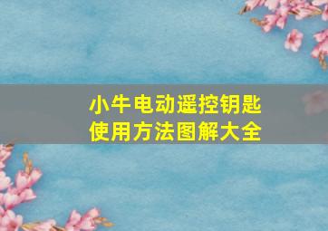 小牛电动遥控钥匙使用方法图解大全