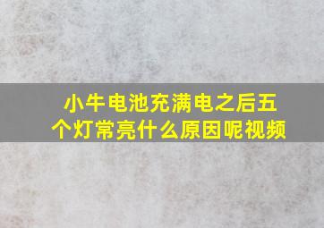 小牛电池充满电之后五个灯常亮什么原因呢视频