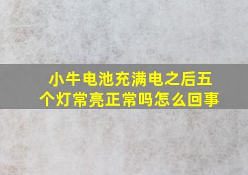 小牛电池充满电之后五个灯常亮正常吗怎么回事