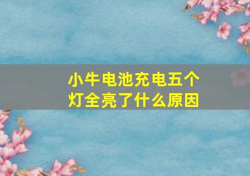 小牛电池充电五个灯全亮了什么原因