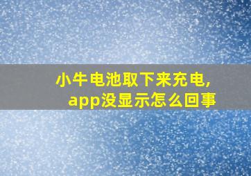 小牛电池取下来充电,app没显示怎么回事