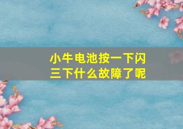 小牛电池按一下闪三下什么故障了呢