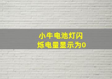 小牛电池灯闪烁电量显示为0