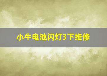 小牛电池闪灯3下维修