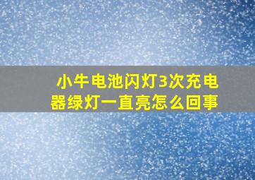 小牛电池闪灯3次充电器绿灯一直亮怎么回事