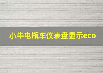 小牛电瓶车仪表盘显示eco