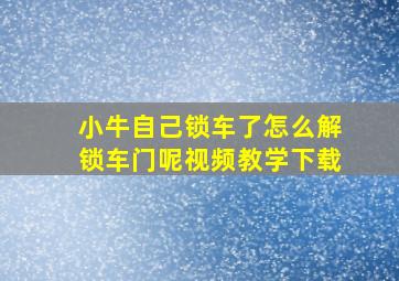 小牛自己锁车了怎么解锁车门呢视频教学下载