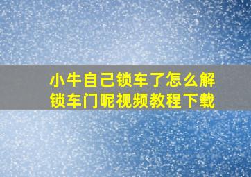 小牛自己锁车了怎么解锁车门呢视频教程下载