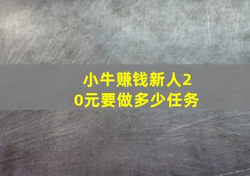 小牛赚钱新人20元要做多少任务