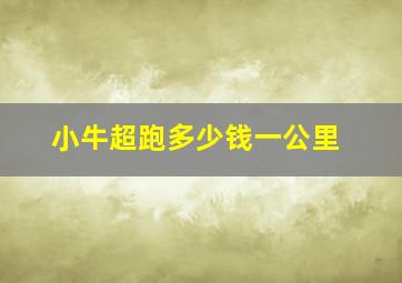 小牛超跑多少钱一公里