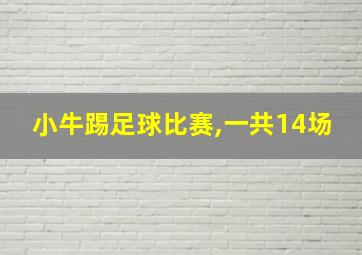 小牛踢足球比赛,一共14场