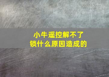 小牛遥控解不了锁什么原因造成的