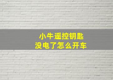 小牛遥控钥匙没电了怎么开车