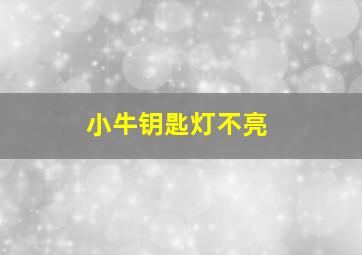 小牛钥匙灯不亮