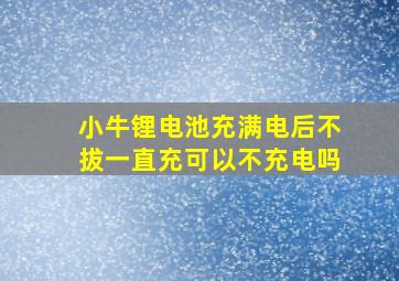 小牛锂电池充满电后不拔一直充可以不充电吗