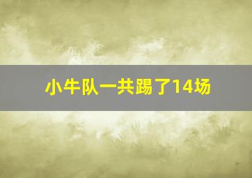 小牛队一共踢了14场