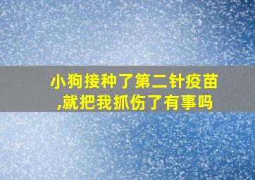 小狗接种了第二针疫苗,就把我抓伤了有事吗