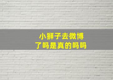 小狮子去微博了吗是真的吗吗