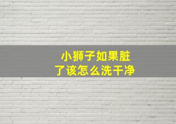 小狮子如果脏了该怎么洗干净