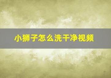 小狮子怎么洗干净视频