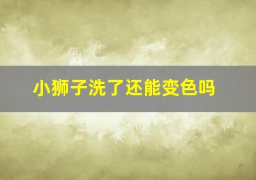 小狮子洗了还能变色吗