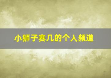 小狮子赛几的个人频道