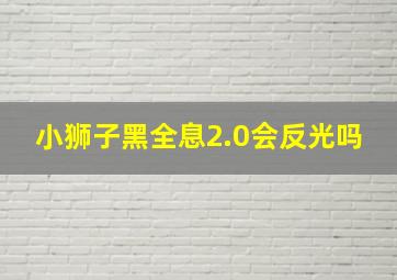 小狮子黑全息2.0会反光吗