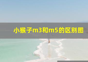 小猴子m3和m5的区别图