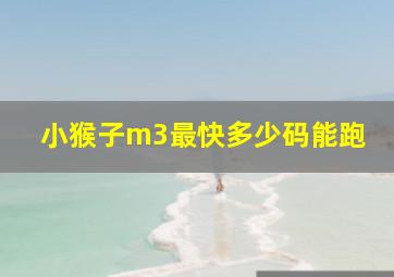 小猴子m3最快多少码能跑