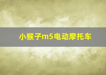 小猴子m5电动摩托车