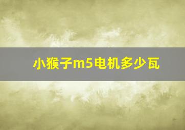 小猴子m5电机多少瓦