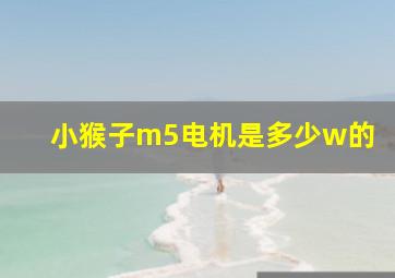 小猴子m5电机是多少w的