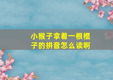 小猴子拿着一根棍子的拼音怎么读啊