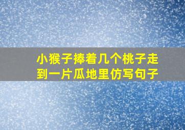 小猴子捧着几个桃子走到一片瓜地里仿写句子