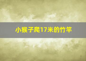 小猴子爬17米的竹竿