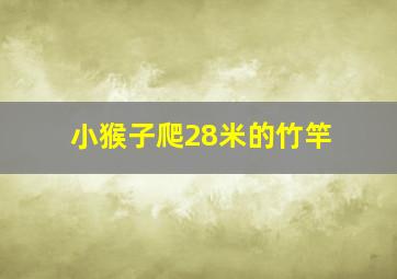 小猴子爬28米的竹竿