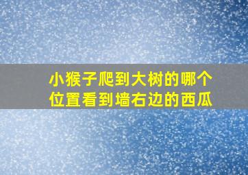 小猴子爬到大树的哪个位置看到墙右边的西瓜