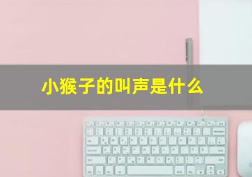 小猴子的叫声是什么