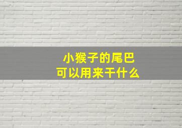 小猴子的尾巴可以用来干什么