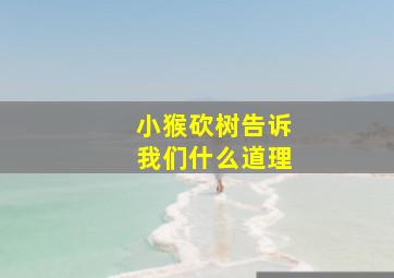 小猴砍树告诉我们什么道理