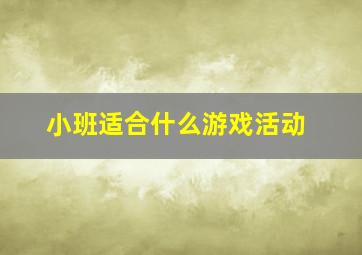 小班适合什么游戏活动