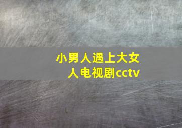 小男人遇上大女人电视剧cctv