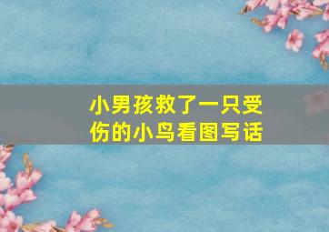 小男孩救了一只受伤的小鸟看图写话