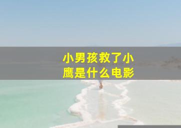 小男孩救了小鹰是什么电影