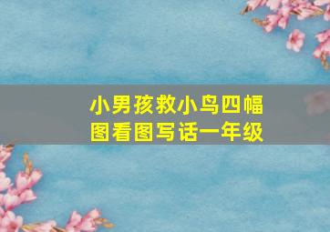 小男孩救小鸟四幅图看图写话一年级