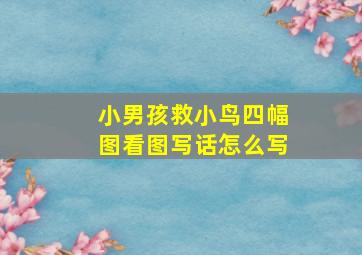 小男孩救小鸟四幅图看图写话怎么写